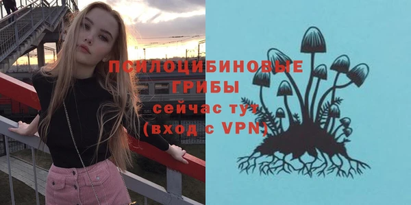 винт Корсаков