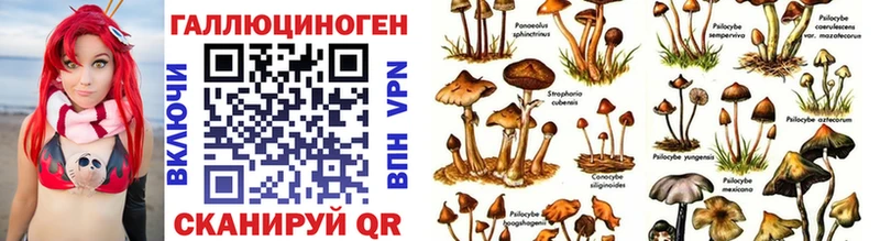 Купить  Ленск  Галлюциногенные грибы MAGIC MUSHROOMS 